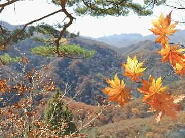 《劝发菩提心文》01（佛龙庵）