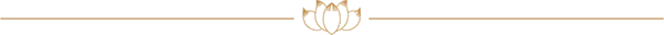 回向前莲花.webp